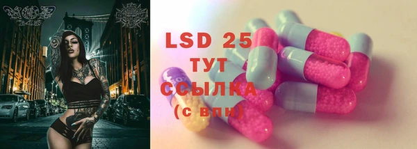 спайс Касимов