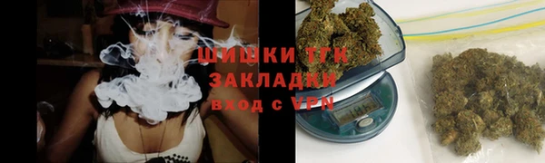 МДПВ Карпинск