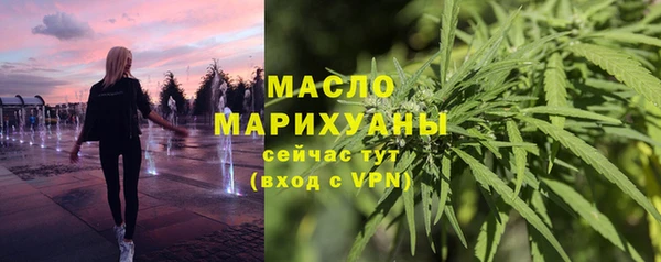 мет Инсар